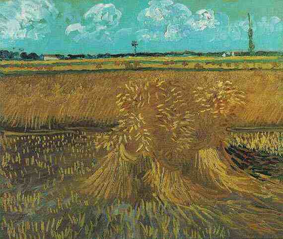 Vincent Willem van Gogh: Wheatfield